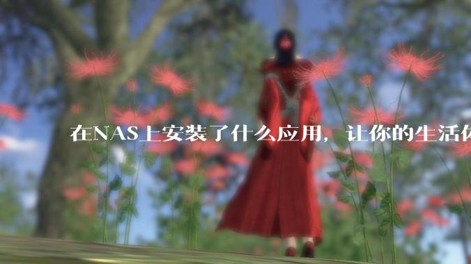 在NAS上安装了什么应用，让你的生活体验有了巨大的提升？