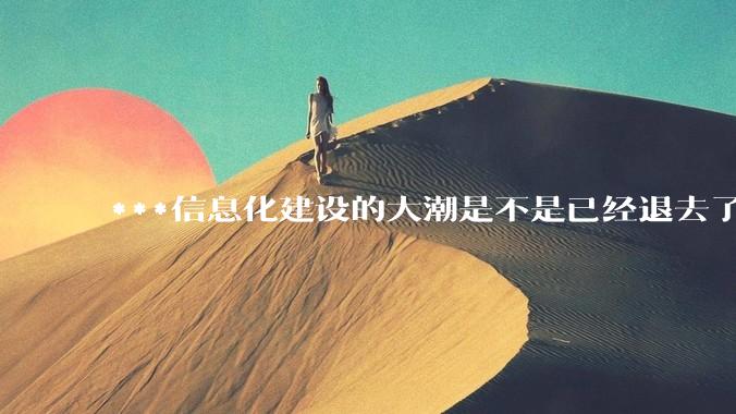 ***信息化建设的大潮是不是已经退去了？