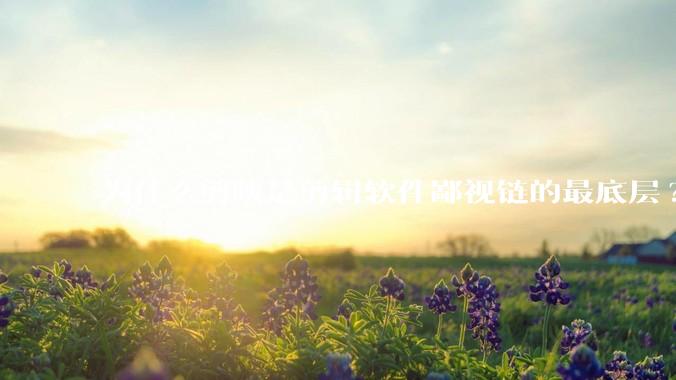 为什么剪映是剪辑软件鄙视链的最底层?